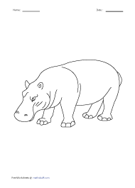 Hippopotamus