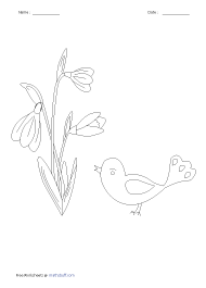 Spring Flower with bird