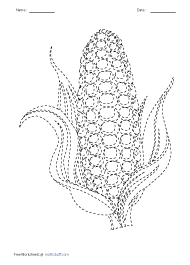 Maize 